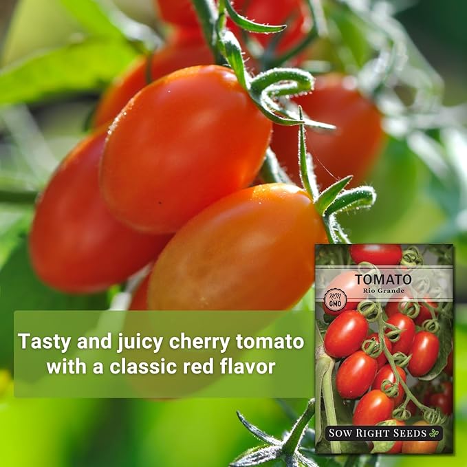 Sow Right Seeds - Rio Grande Tomato Seeds for Planting - Non-GMO Heirloom Packet with Instructions to Plant a Home Vegetable Garden - Red Cherry Variety for Snacking - Super Vigorous (1)