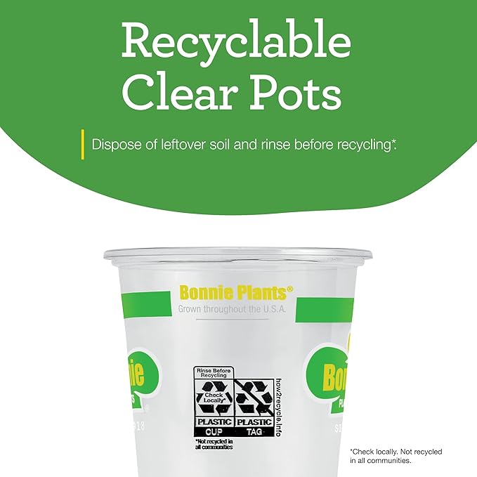 Bonnie Plants Red Bell Pepper Live Vegetable Plants - 4 Pack, Non-GMO, 2 - 3 Ft Plants, 4.5 x 4 Inch Pepper Size