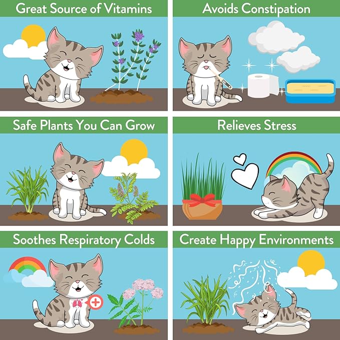 HOME GROWN 2,160+ Cat Plant Seeds Mix β π‘π’π‘-ππ π’ π¨π¦π-π¦π’π¨π₯πππ Heirloom Catnip, Lemongrass, Licorice, Thyme & Valerian β Pet-Friendly Indoor Garden Refill Kit for Cats & Kittens