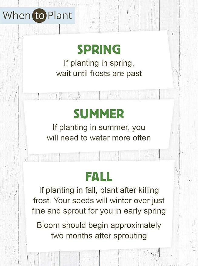 American Meadows Wildflower Seed Packets ''Butterfly Garden'' Favors (Pack of 20) - Pollinator Wildflower Seed Mix to Attract Hummingbirds, Bees, and Butterflies, Party Favors for Any Occasion