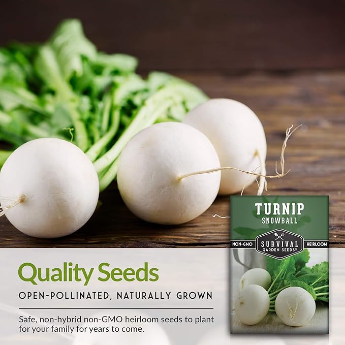 Survival Garden Seeds - Turnip Snowball Seed for Planting - 2 Packs with Instructions to Plant and Grow Root Vegetables and Greens in Your Home Vegetable Garden - Non-GMO Heirloom Variety - Seed Vault