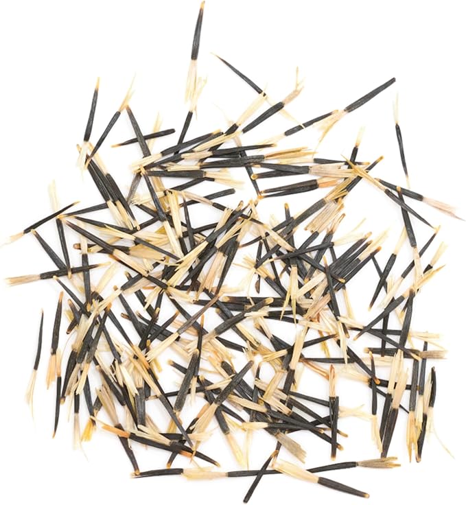 Seed Needs Crackerjack Marigold Seeds for Planting - Heirloom & Open Pollinated Annual Flowers - Plant a Butterfly Garden to Attract Pollinators (1 Pack)