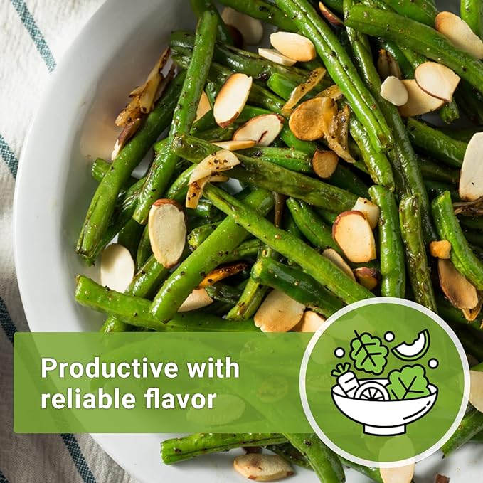 Sow Right Seeds - Contender Bush Green Bean Seeds for Planting - Non-GMO Heirloom Seed Packet - Stringless Variety to Plant an Outdoor Home Vegetable Garden - Abundant Harvest, Great for Kids (1)