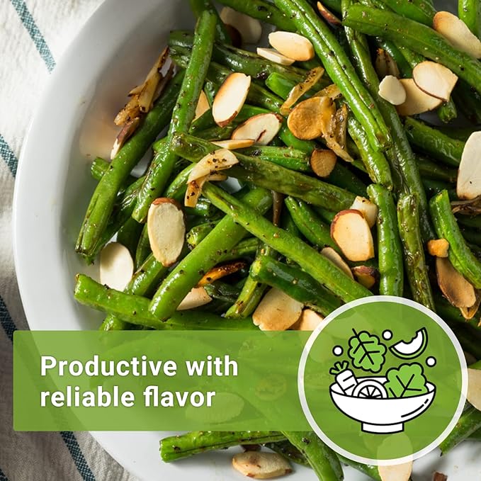 Sow Right Seeds - Contender Bush Green Bean Seeds for Planting - Non-GMO Heirloom Seed Packet - Stringless Variety to Plant an Outdoor Home Vegetable Garden - Abundant Harvest, Great for Kids (3)