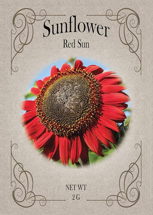 Black Duck Brand Set of Flower Seed Packets! Flower Seeds in Bulk - Great for Creating The Garden of Your Dreams! (25, Red Sun Sunflower)
