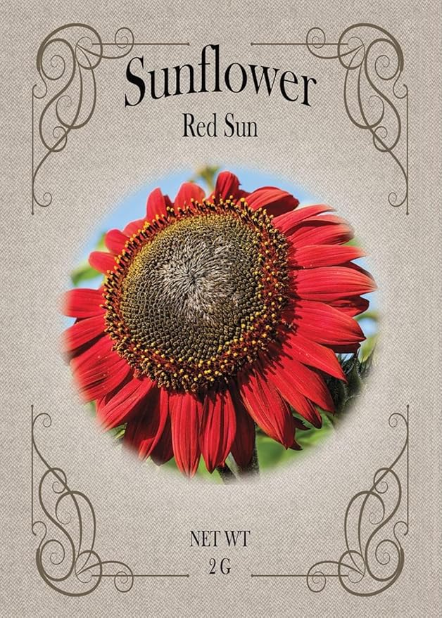 Set of Flower Seed Packets! Flower Seeds in Bulk - Great for Creating The Garden of Your Dreams! (100, Red Sun Sunflower)