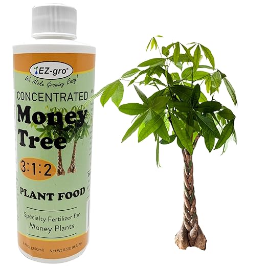 EZ-GRO Professional Liquid Money Tree Fertilizer - 8 oz | Liquid Fertilizer for Money Tree & Houseplants | 3:1:2 Ratio of Concentrated Nutrients for Indoor Plant Food
