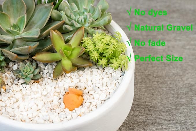 2.4lb Succulent and Cactus Bonsai DIY Rocks, White Gravel for Terrarium, Fairy Gardening, Top Dressing, Mini White Rocks