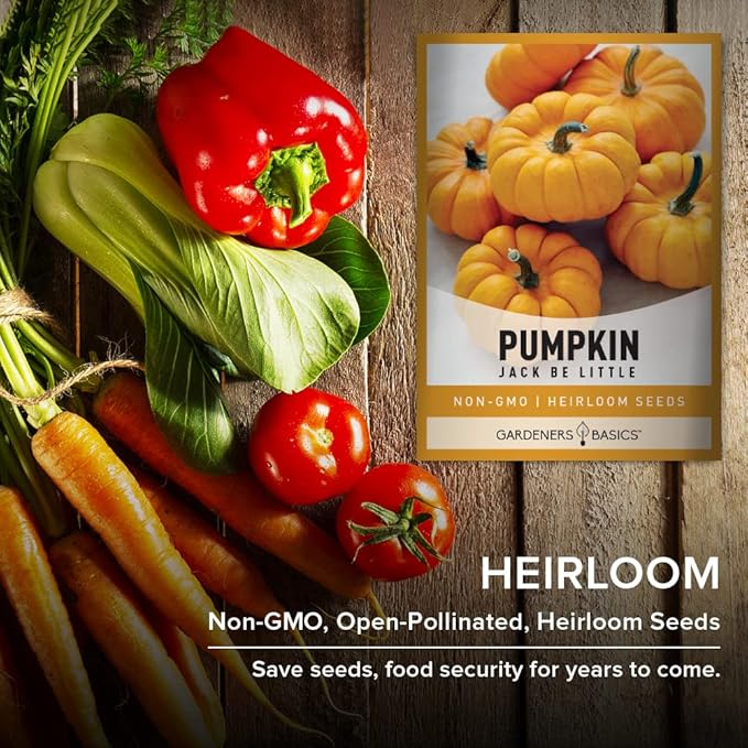 Mini Pumpkin Seeds for Planting (Jack Be Little) Small Heirloom, Non-GMO Vegetable Variety-5 Grams Seeds Great for Summer Pumpkin Gardens by Gardeners Basics