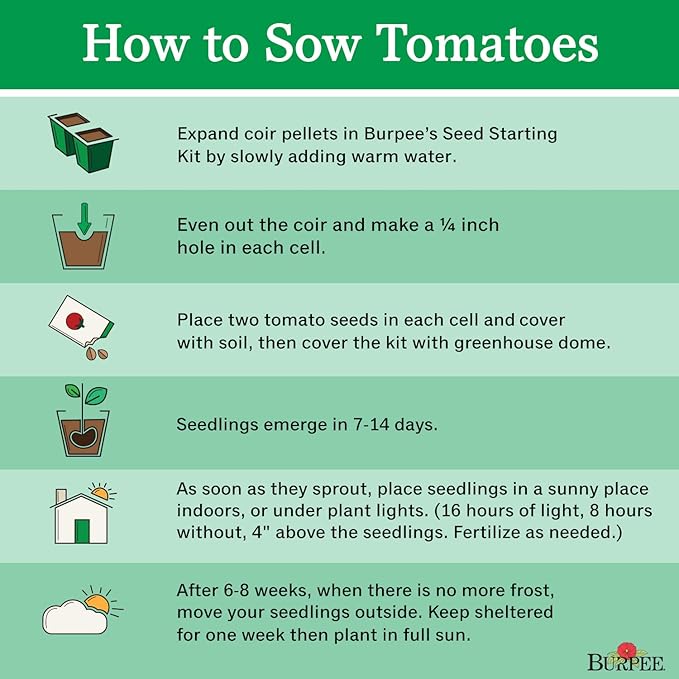 Burpee 'Chadwick Cherry' Organic, Red Cherry Tomato, 75 Non-GMO Seeds