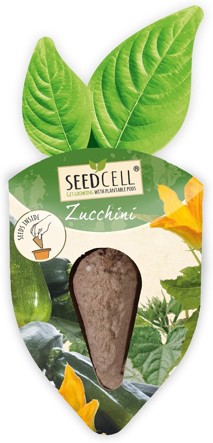 Vegtrug Seed Pods Kit - Vegetable Patch, Non-GMO Seeds with Fully Biodegradable Seed Pods, Contains Seeds of Broccoli, Zucchini, Pumpkin, and Butternut Squash, Pack of 1