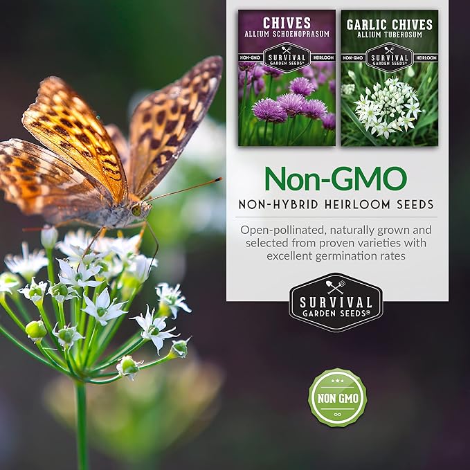 Survival Garden Seeds Chive Seed Collection - Common & Garlic Chives – 2 Packets of Non-GMO Heirloom Open-Pollinated Herb Seed Varieties to Plant in Your Vegetable Garden – Seed Saver Instructions