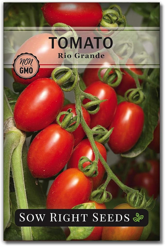 Sow Right Seeds - Rio Grande Tomato Seeds for Planting - Non-GMO Heirloom Packet with Instructions to Plant a Home Vegetable Garden - Red Cherry Variety for Snacking - Super Vigorous (1)