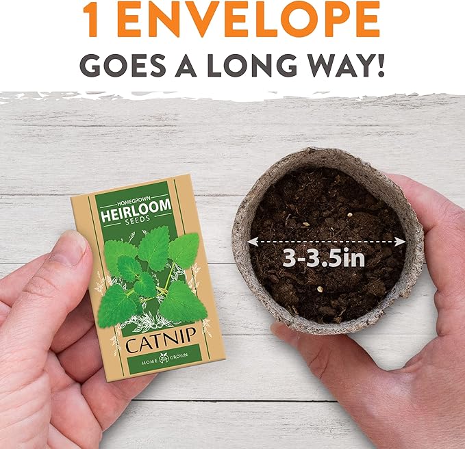 HOME GROWN 2,160+ Cat Plant Seeds Mix β π‘π’π‘-ππ π’ π¨π¦π-π¦π’π¨π₯πππ Heirloom Catnip, Lemongrass, Licorice, Thyme & Valerian β Pet-Friendly Indoor Garden Refill Kit for Cats & Kittens