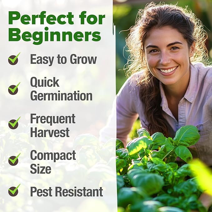 HOME GROWN Genovese Basil Seeds 2 Pack - 3500 π‘π’π‘-ππ π’ π¨π¦π Heirloom Basil Seeds for Planting (Ocimum basilicum) - Herb Seeds for Indoor & Outdoor Gardening - Grow for Culinary Use