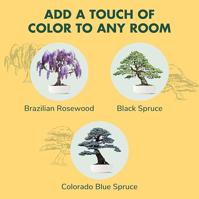 Bonsai Tree Seed Starter Kit - Mini Bonsai Plant Growing Kit, 3 Types of Seeds, Potting Soil, Pots, Pruning Shears Scissor Tool, Plant Markers, Wood Gift Box, Fathers Day Gardening Gifts Ideas