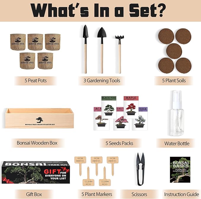 Indoor Bonsai Garden Starter Kit, 5 Seeds Growing into Red Maple, Wisteria, Black Pine, Judas Tree, Acacia, Including Complete Gardening Planters & A Wooden Box, Christmas Gifts for Women