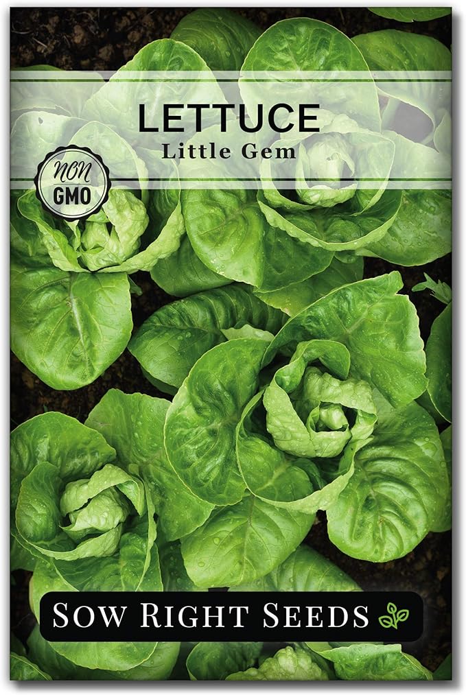 Sow Right Seeds - Little Gem Lettuce Seeds for Planting - Non-GMO Heirloom Packet with Instructions to Plant a Home Vegetable Garden - Outdoors or Indoors Hydroponics - Miniature Romaine Variety (1)
