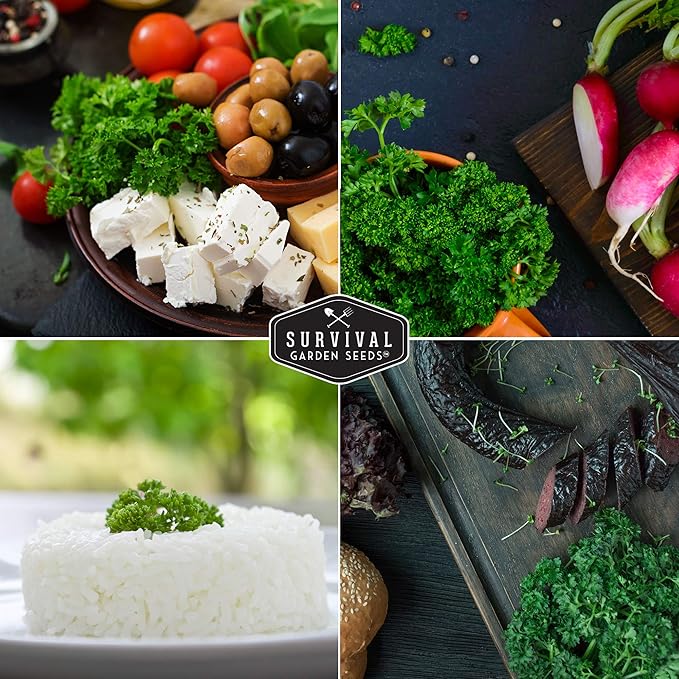 Survival Garden Seeds - Curled Parsley Seed for Planting - Packet with Instructions to Plant and Grow Nutritious Curly Parsley Herb Plants in Your Home Vegetable Garden - Non-GMO Heirloom Variety