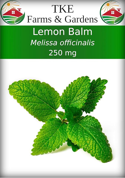 TKE Farms & Gardens - Lemon Balm Seeds for Planting, 250Mg, 300+ Heirloom, Non-GMO Seeds, Instructions Included to Grow This Fragrant Medicinal Herb, Melissa officinalis, Qty 1