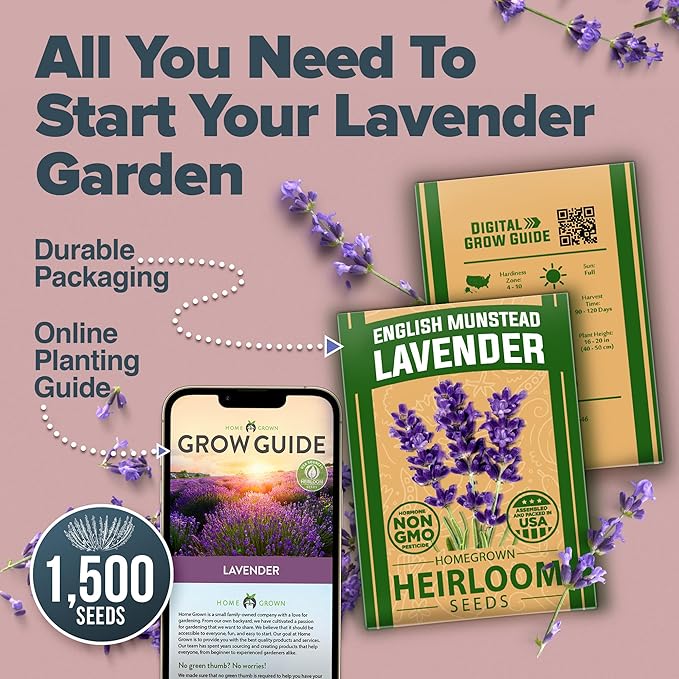 HOME GROWN π¨π¦π π£π₯ππ ππ¨π  English Lavender Seeds 2 Pack 3000 π‘π’π‘-ππ π’ Wildflower Seed, for Planting Indoor Outdoor High Germination Flower Seeds (Lavandula antustifolia)