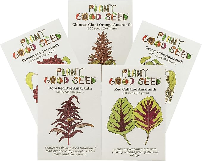 Plant Good Seed Organic Amaranth Seed Collection - Five Packets/600 Seeds Each: Chinese Giant, Dreadlocks, Green Tails, Red Dye, Callaloo - Heirloom Planting Vegetables Gardening Supplies Grain Flower