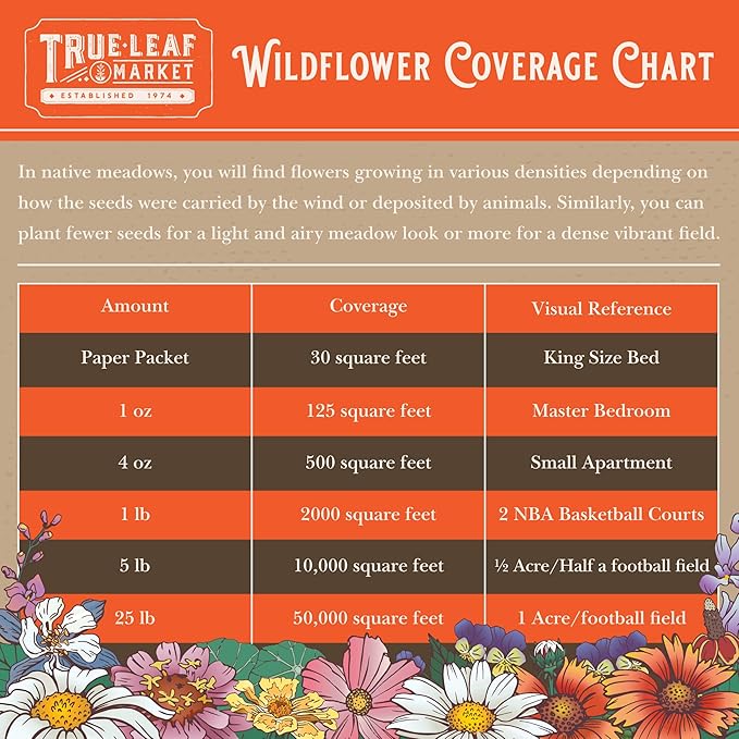 Wildflower Seed Bulk - Midwestern Wildflower Mix - 1 lb. 640,000+ Prairie Wildflowers - Annual & Perennial Flower Seeds - Wildflowers - Flower Seeds Bulk - Pollinator Flowers Seed