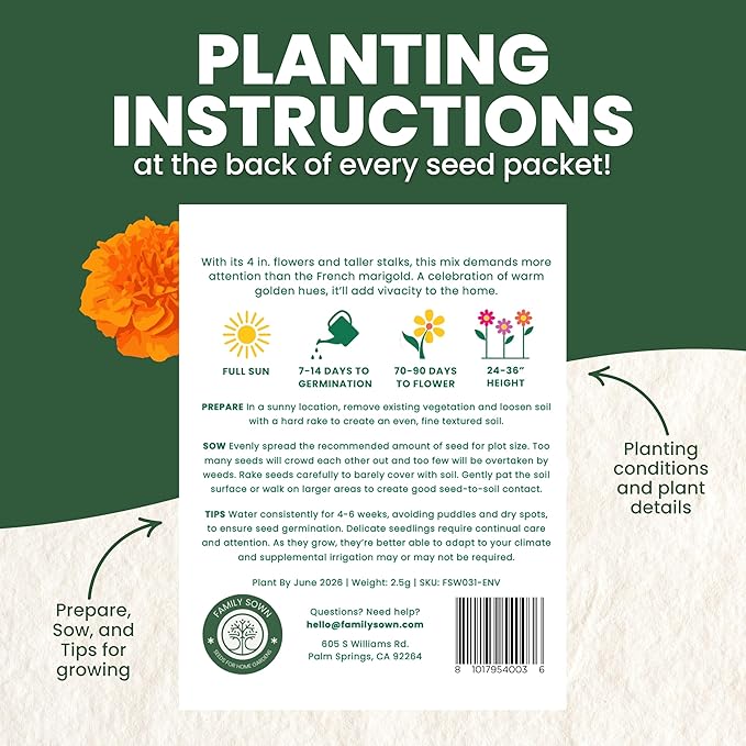 African Marigold Crackerjack - Large 2,500mg Envelope - 500 Flower Seeds for Planting - Tagetes erecta
