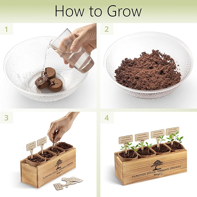 Bonsai Tree Kit – 4X Unique Japanese Bonzai Trees | Complete Indoor Starter Kit for Growing Bonsai Plants with Tools & Planters – Gardening Gifts for Women & Men