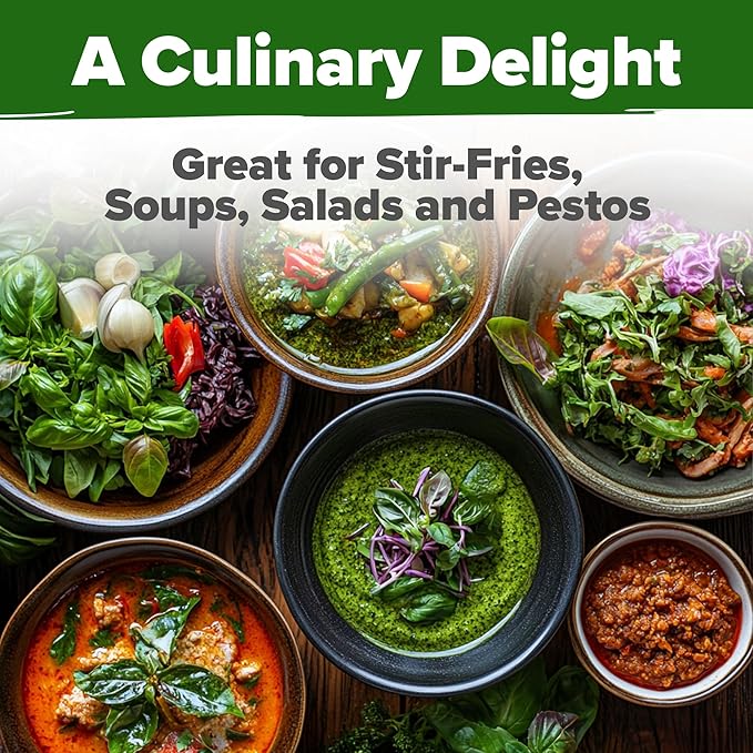 HOME GROWN Thai Basil Seeds Pack - 438 High Germination π‘π’π‘-ππ π’ π¨π¦π Heirloom Herb Seeds for Planting,Ideal for Growing Fresh Basil Planting Indoor or Outdoor(Ocimum basilicum var.thyrsiflora)