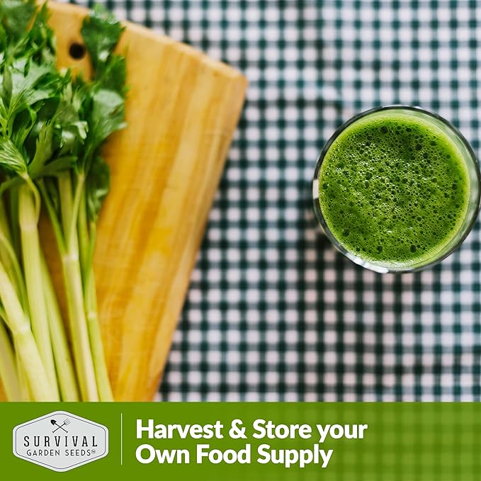 Utah Celery Seed for Planting - 3 Packets with Instructions to Plant & Grow Delicious Celery Plants in Your Home Vegetable Garden - Tender Crisp Non-GMO Heirloom Variety - Survival Garden Seeds