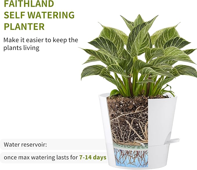 FaithLand 6-Pack White Self Watering Planter Pots for Indoor Outdoor Plants - 8, 7, 6.5, 6, 5.5, 5 Inches Flower Pots