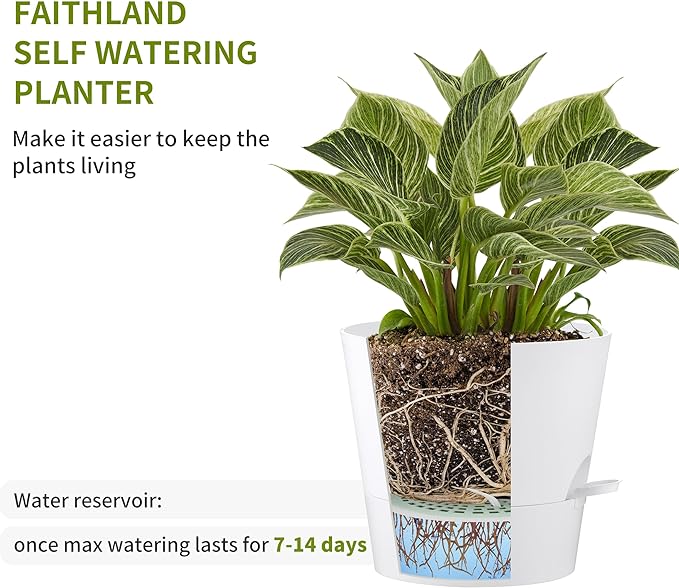 FaithLand 2-Pack 10 Inch Planter Pots for Indoor Outdoor Plants, Self Watering Flower Pots with Deep Reservoir, White with Terracotta …