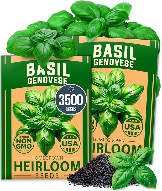HOME GROWN Genovese Basil Seeds 2 Pack - 3500 π‘π’π‘-ππ π’ π¨π¦π Heirloom Basil Seeds for Planting (Ocimum basilicum) - Herb Seeds for Indoor & Outdoor Gardening - Grow for Culinary Use