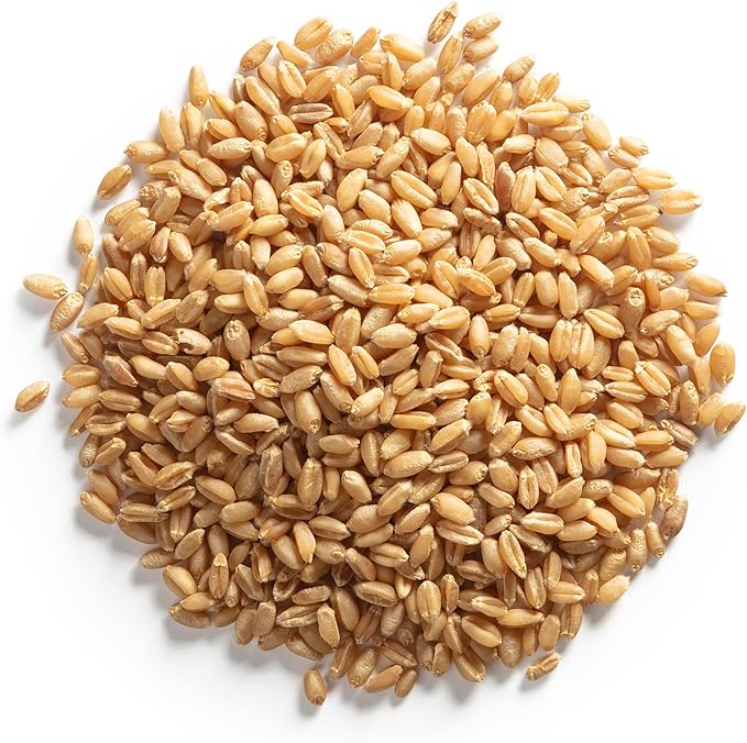 Organic Cat Grass for Indoor Cats - 4X Seed Packets | Pet Cat Grass Kit for Growing Wheat Grass w Planting Seeds, Tools & Planter