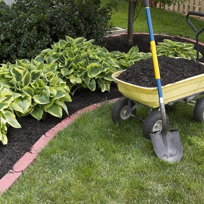 Amazing Deal - 24 Hosta Bare Roots Plants w/Planting Shovel - Mixed Heart-Shaped, Rich Green Foliage, Attracts Butterflies, Hummingbirds & Pollinators, Low Maintenance & Extremely Hardy - Zones 3–9