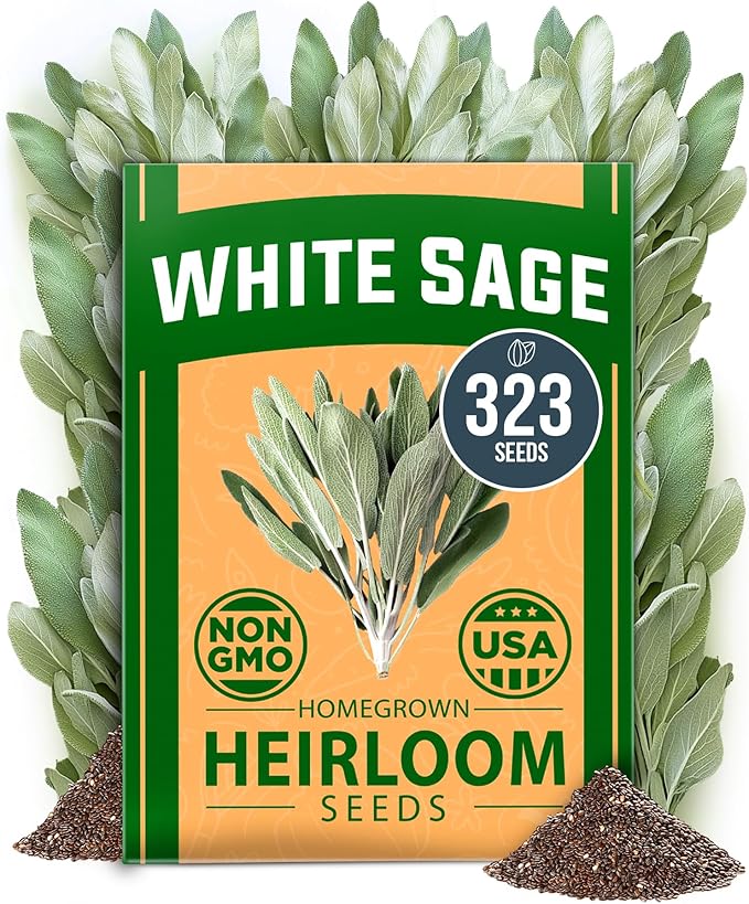 HOME GROWN π¨π¦π π£π₯ππ ππ¨π  White Sage Seeds 323 Pack π‘π’π‘-ππ π’ Heirloom Seeds - Grow Aromatic Sage Plants for Your Herb Seeds Garden with Sage for Planting Outdoor or Indoor (Salvia apiana)