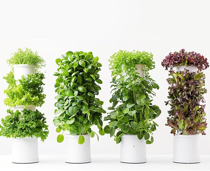 32 Varieties Vegetable Seeds for Planting, 8,600+ Heirloom Seeds Gift Pack, Non-GMO Veggies Seed Garden Kit for Indoor Outdoor Growing, Home Fresh Food Vegetable Supply