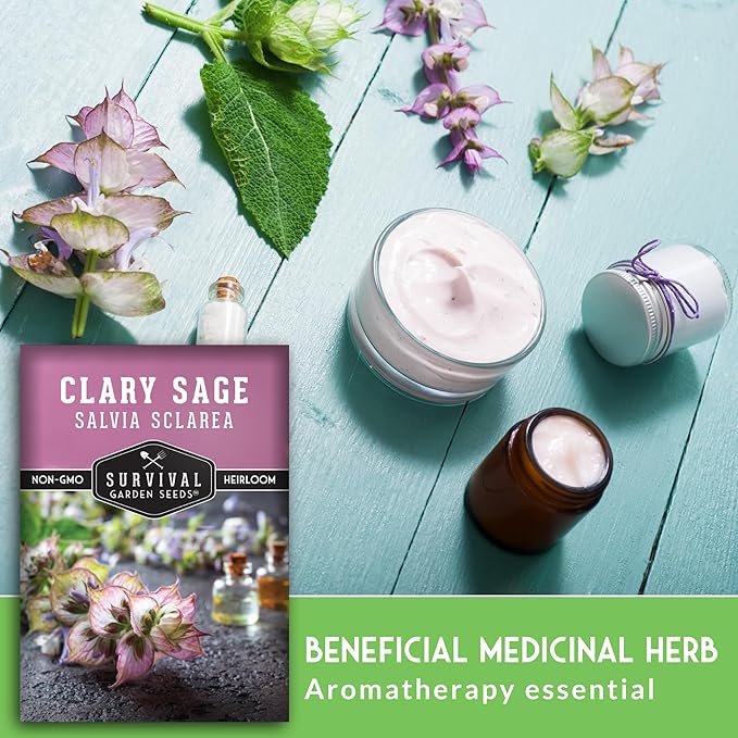 Survival Garden Seeds - Clary Sage Seed for Planting - 3 Packs with Instructions to Plant & Grow Salvia Sclarea Medicinal Herbs in Your Herbal Garden - Non-GMO Heirloom Variety