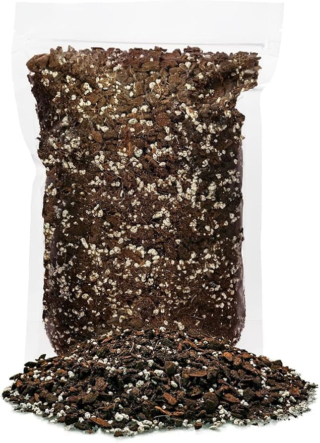 Expertly Formulated Monstera Obliqua Soil Mix - Strong and Healthy Roots by Gardenera - 2 Quart