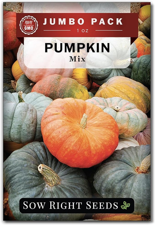 Sow Right Seeds - Bulk Mixed Pumpkin Seeds for Planting - 1 Ounce, 140 Seeds - Non-GMO Heirloom Jumbo Pack - Includes Small Sugar, Big Max, Casper, and More - Grow Loads of Colorful Mixed Pumpkins