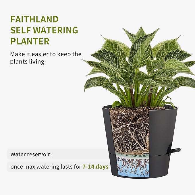 FaithLand 2-Pack 8 Inch Planter Pots for Indoor Outdoor Plants, Self Watering Flower Pots with Deep Reservoir, Black with Terracotta …