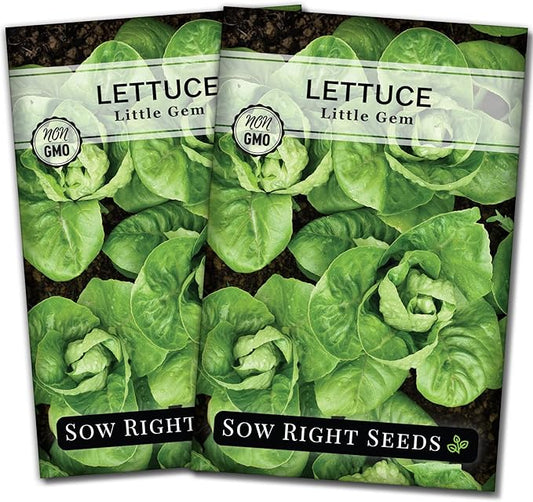 Sow Right Seeds - Little Gem Lettuce Seeds for Planting - Non-GMO Heirloom Packet with Instructions to Plant a Home Vegetable Garden - Outdoors or Indoors Hydroponics - Miniature Romaine Variety (2)