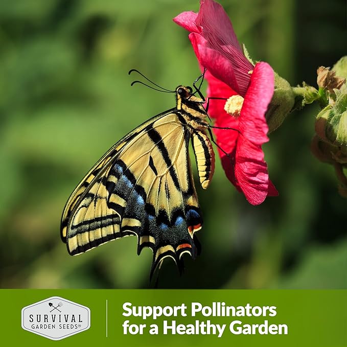 Survival Garden Seeds - Single Mixed Hollyhock Seed for Planting - 5 Packs with Instructions to Plant and Grow Colorful Spikes of Flowers in Your Home Vegetable Garden - Non-GMO Heirloom Variety