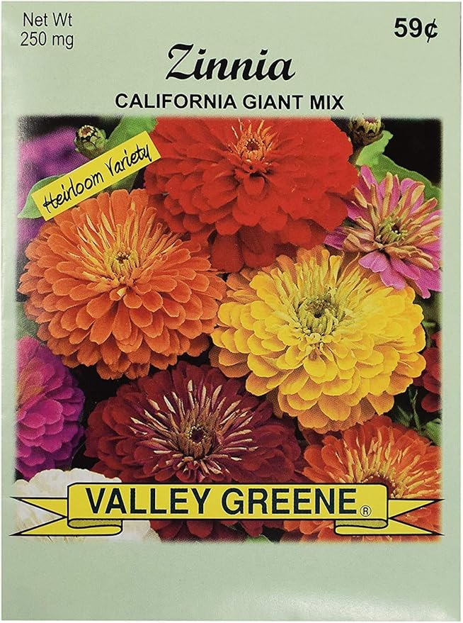 Set of Flower Seed Packets! Flower Seeds in Bulk - Great for Creating The Garden of Your Dreams! (50, Zinnia - California Mix)