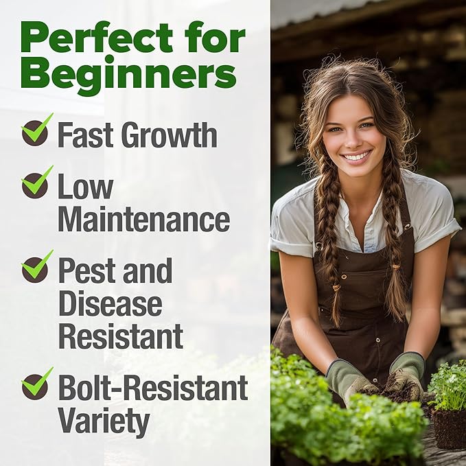 HOME GROWN π¨π¦π π£π₯ππ ππ¨π  1000+ Cilantro Seeds for Planting Indoors or Outdoors - Non-GMO Heirloom Herbs, Coriander Plant Seeds - Complete Your Herb Seeds Collection for Your Indoor Herb Garden