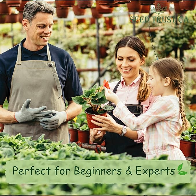 Malabar Spinach Seeds – 100+ Non-GMO, High-Yielding Malabar Variety Heirloom Seeds – High Germination Rate, Easy to Grow, Nutritious Tropical Leafy Green – USA (Malabar)