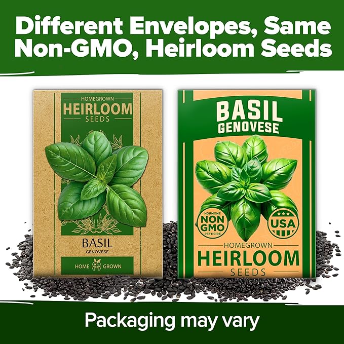 HOME GROWN Genovese Basil Seeds 2 Pack - 3500 π‘π’π‘-ππ π’ π¨π¦π Heirloom Basil Seeds for Planting (Ocimum basilicum) - Herb Seeds for Indoor & Outdoor Gardening - Grow for Culinary Use