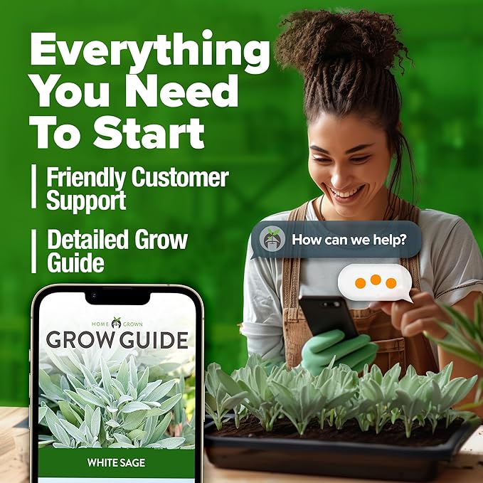 HOME GROWN π¨π¦π π£π₯ππ ππ¨π  White Sage Seeds 323 Pack π‘π’π‘-ππ π’ Heirloom Seeds - Grow Aromatic Sage Plants for Your Herb Seeds Garden with Sage for Planting Outdoor or Indoor (Salvia apiana)