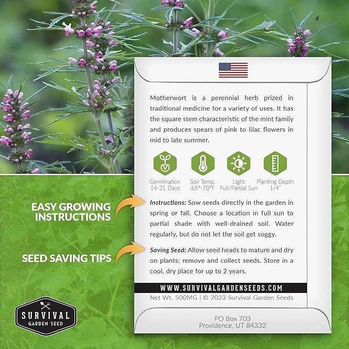 Motherwort Seed for Planting - 3 Packets with Instructions to Plant and Grow Lion's Tail Medicinal Herbs in Your Home Herb Garden - Non-GMO Heirloom Variety - Survival Garden Seeds